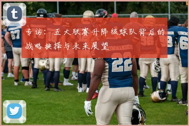 专访:五大联赛升降级球队背后的战略抉择与未来展望