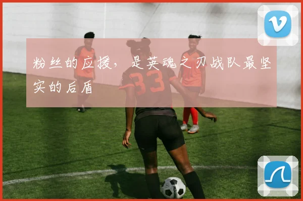 粉丝的应援,是英魂之刃战队最坚实的后盾