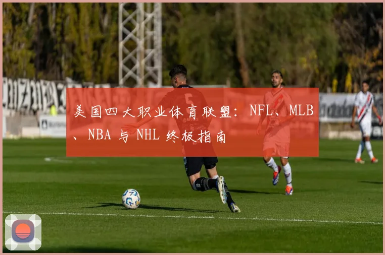 美国四大职业体育联盟:NFL、MLB、NBA 与 NHL 终极指南