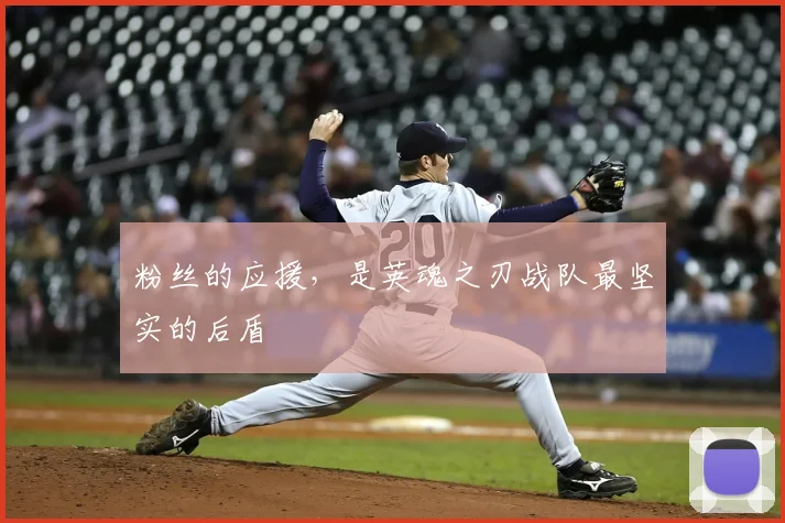 粉丝的应援,是英魂之刃战队最坚实的后盾